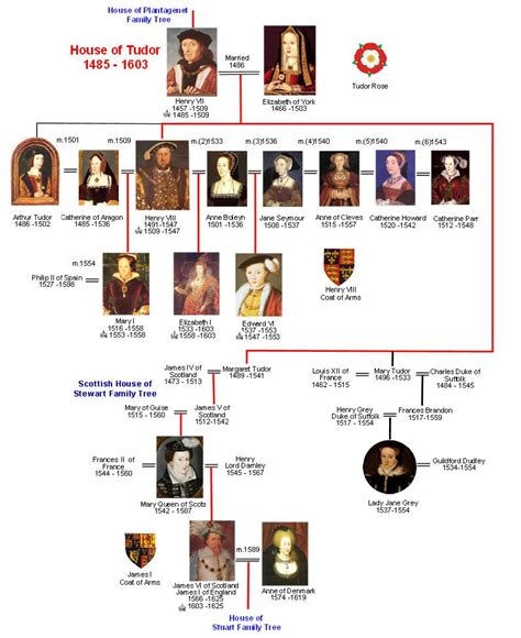 enrico vi di tudor|british dynasty of tudor.